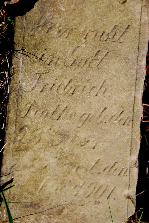Friedrich Rothe
