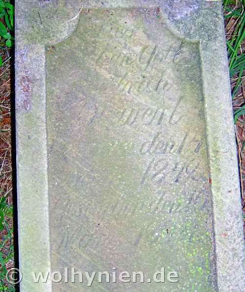 Diewert, Friedrich