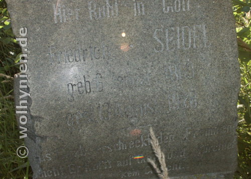 Seidel, Friedrich
