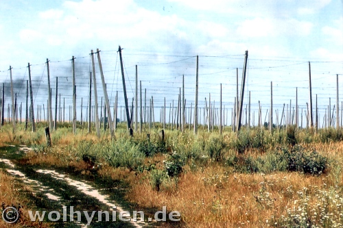 Hopfenfeld