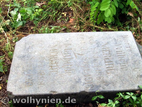 Mehrling, Wilhelm