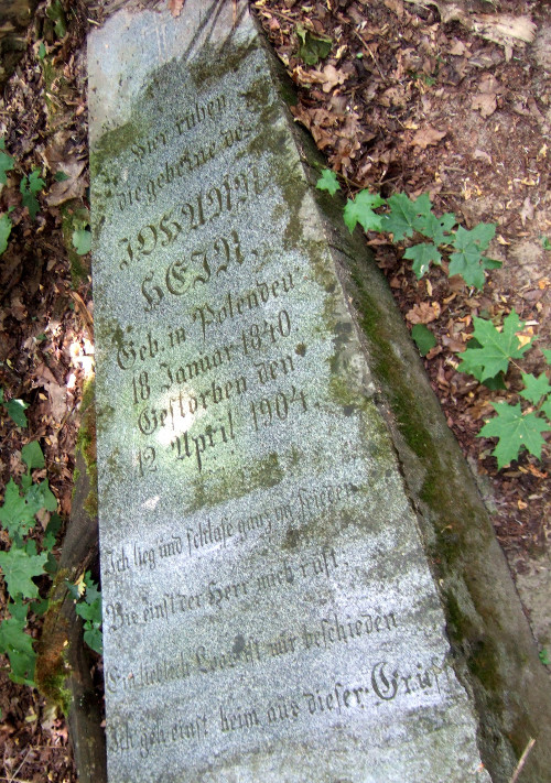 Johann Hein