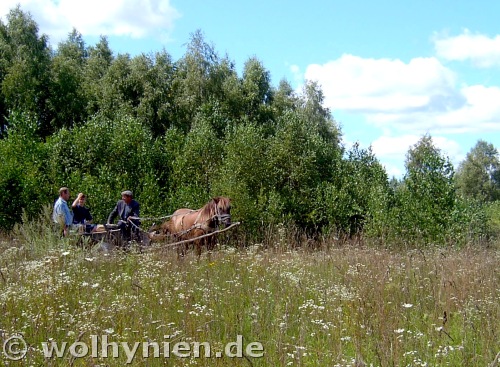 zum Friedhof