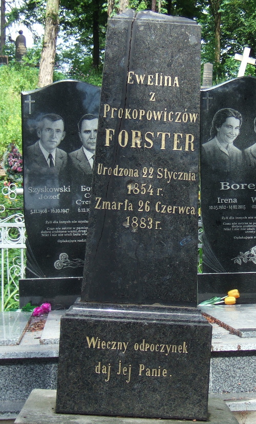 Forster, Evelina 