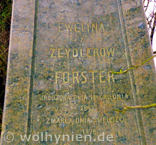 Forster, Evelin 