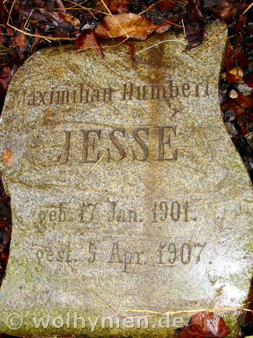 Jesse, Maximilian 