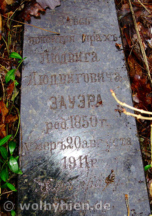 Sauer, Ludwig 