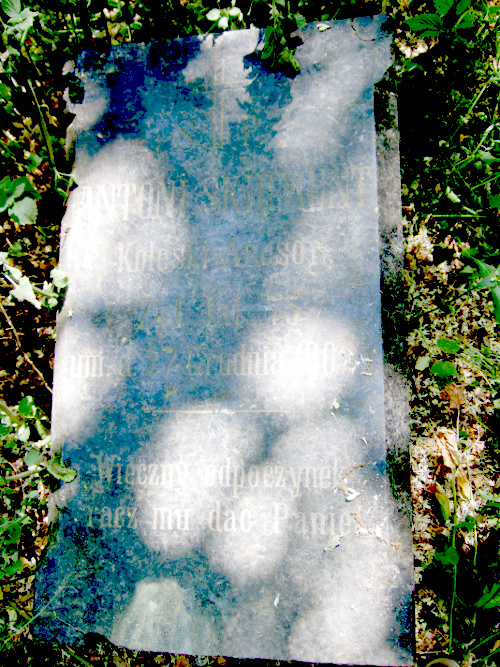 Skirmunt, Antoni 