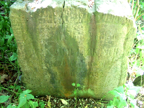 Hickisch, Heinrich 