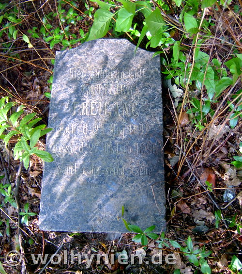 Freigang, Gottlieb