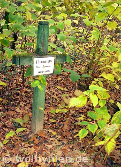Litwintschuk