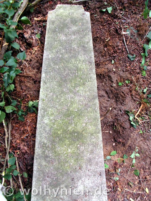 Grohn, Franziska