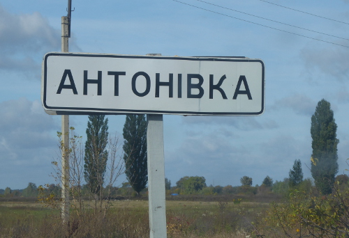  Antonowka