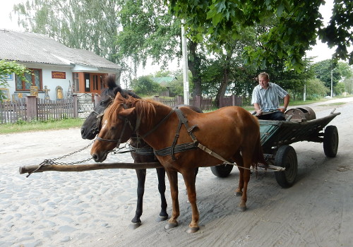 Pferdewagen