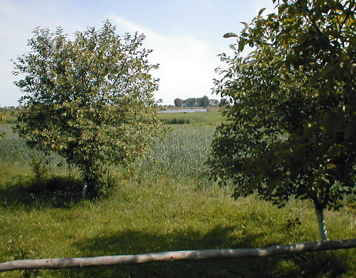 Beresk