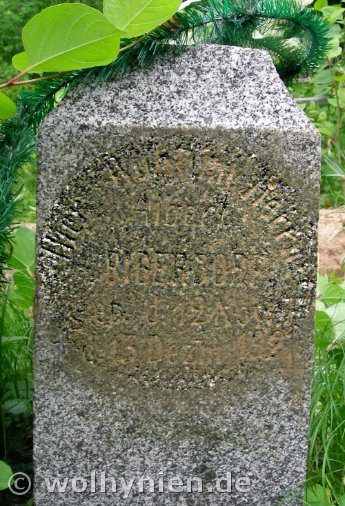 Biberdorf, Albert