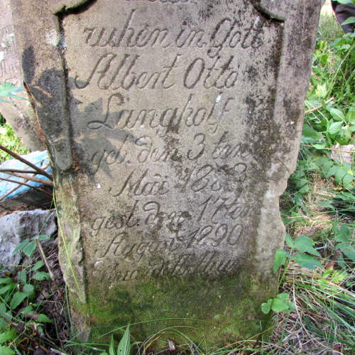 Langholf, Albert