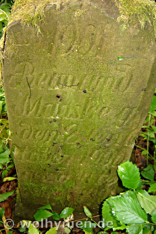 Manske, Reimund