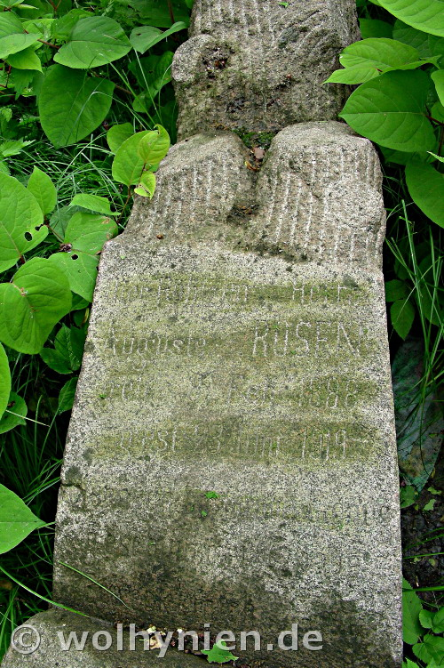 Rosen, Auguste