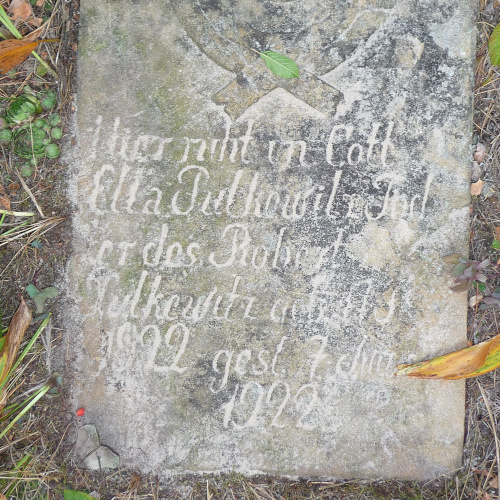 Pulkewitz, Ella