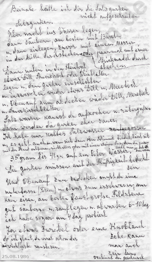 Brief